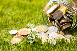 coins-on-grass
